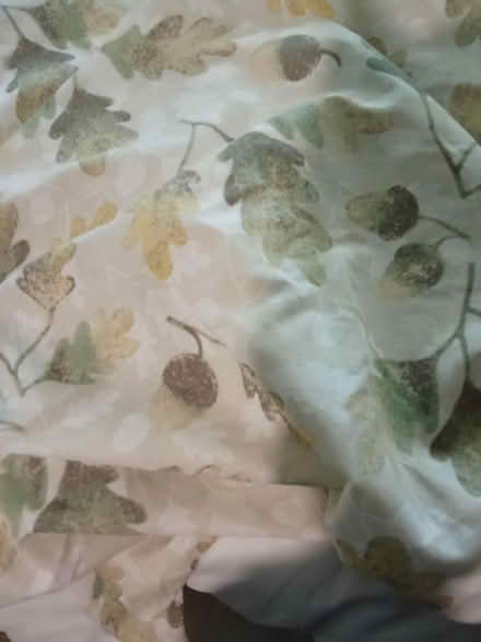 Photo of free Double duvet plus cover (Willesborough) #2