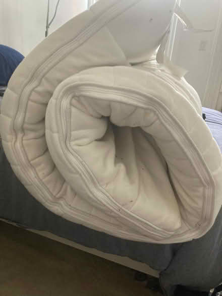 Photo of free Ikea Mattress Topper (South End) #2