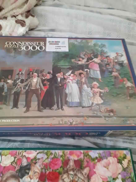 Photo of free Jigsaw puzzles (Winterbourne bristol) #3