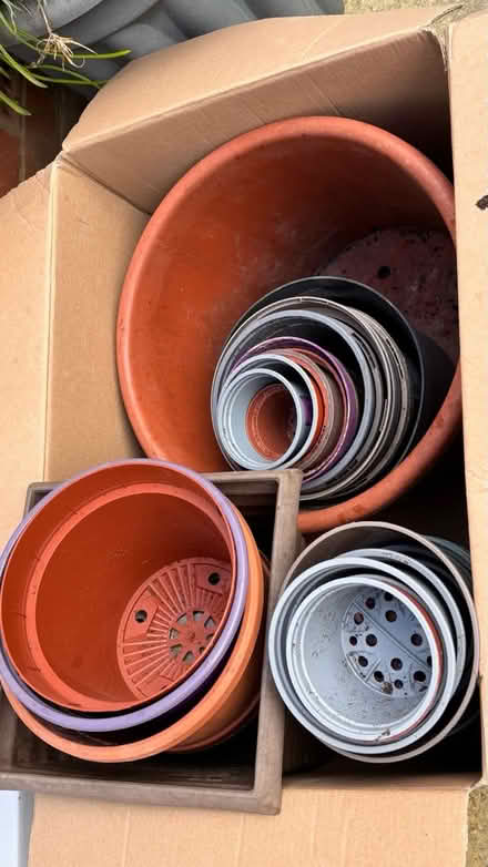 Photo of free Plant pots- various sizes (RH15) #2