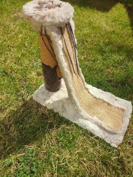 Photo of free Cat scratching post (Shippon OX13) #2
