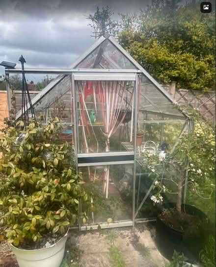 Photo of free Greenhouse: Aluminium & Glass (Belmont SL6) #2