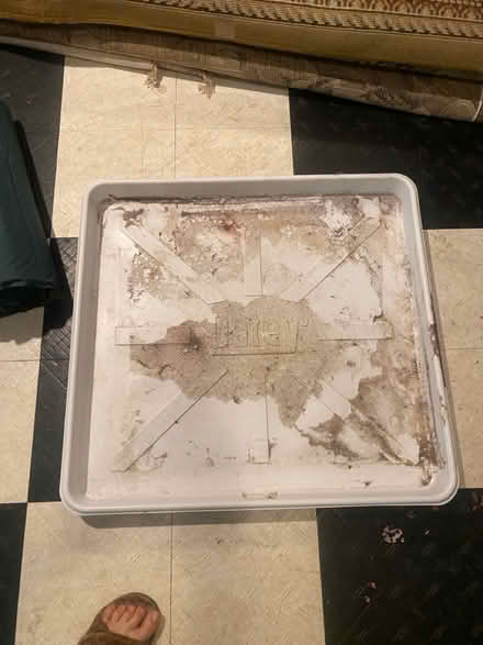 Photo of free Come and get it today (Montgomery Village) #1