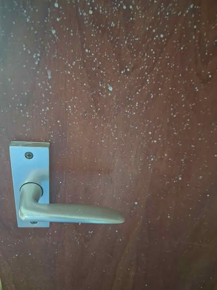 Photo of free 8 doors with handles (Calver S32) #3