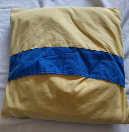 Photo of free Pokémon Cushion (Hereford HR4) #1