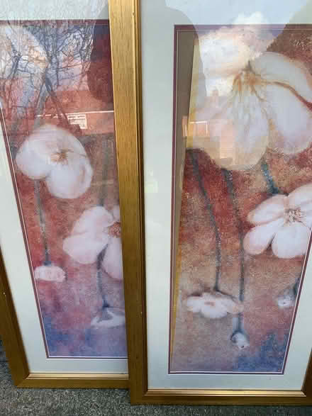 Photo of free 2 pictures (West Denton NE15) #2