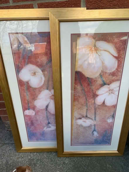 Photo of free 2 pictures (West Denton NE15) #1