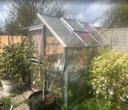Photo of free Greenhouse: Aluminium & Glass (Belmont SL6) #1