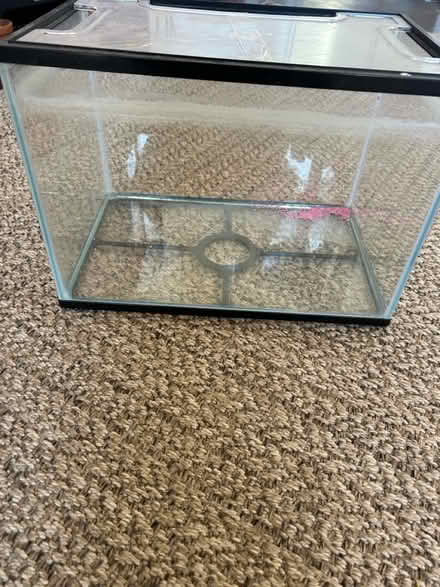 Photo of free 24 litre fish tank (SW9) #1