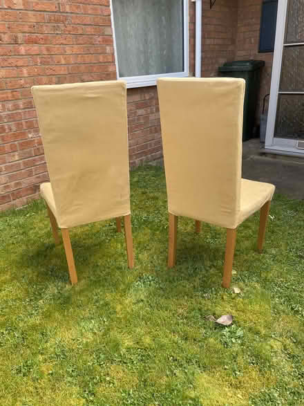 Photo of free Pair of beige dining chairs (Twyford OX17) #2