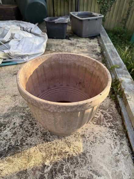 Photo of free Large pink plastic plant pot (Hollingbury BN1) #2