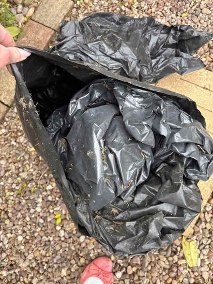Photo of free Used garden rubble bags (M23 Northern Moor) #1