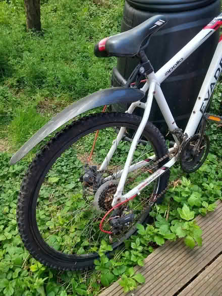Photo of free Men's Bicycle (New Malden KT3) #3