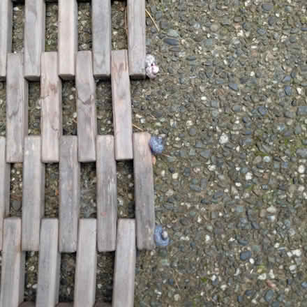 Photo of free Hammock Sling (Juanita (Kirkland)) #2