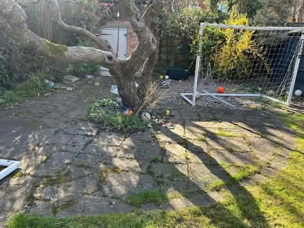 Photo of free Paving slabs (West Bridgford) #1