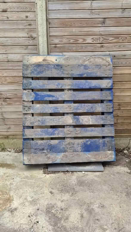 Photo of free Big blue pallet (Oakwood Park N21) #1