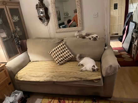 Photo of free Sofa in stone Beige (Wormholt W12) #3