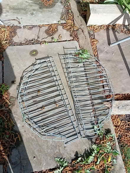 Photo of free Tall plastic greenhouse (Holmcroft ST16) #4