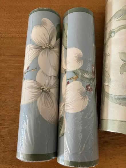 Photo of free Wallpaper pre-pasted Borders (Riverdale (north of Inwood)) #2