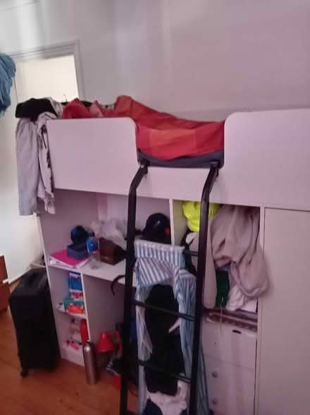 Photo of free Cabin bed (Hanover BN2) #1