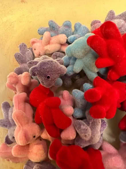 Photo of free Mini bears (Ringwould CT14) #1