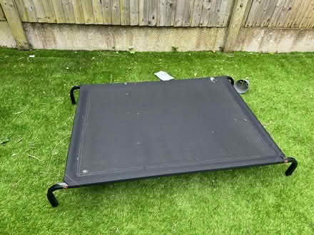 Photo of free Garden dog bed (Ringwould CT14) #2
