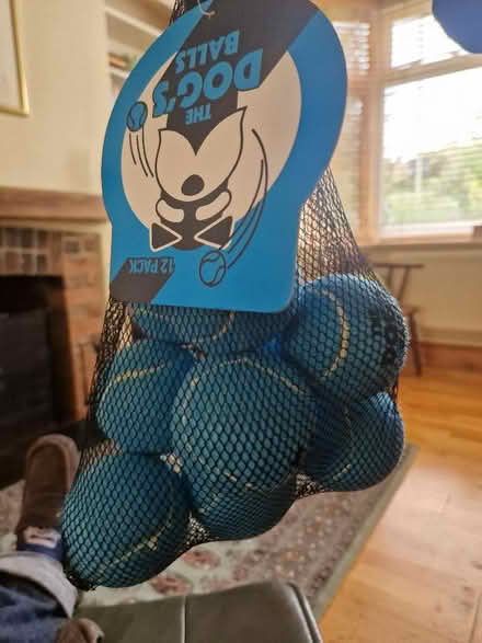 Photo of free Bag of tennis balls for dogs (Cutteslowe OX2) #1