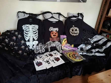 Photo of free Halloween stuff (Erdington B235HA) #1