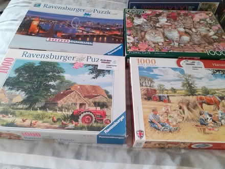 Photo of free Jigsaw puzzles (Winterbourne bristol) #2