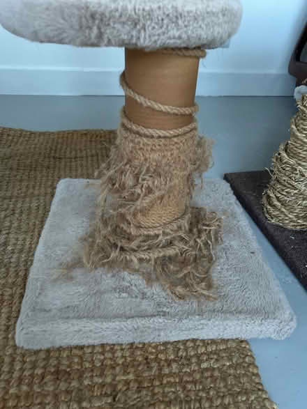 Photo of Rope (Gaurlford WR14) #1