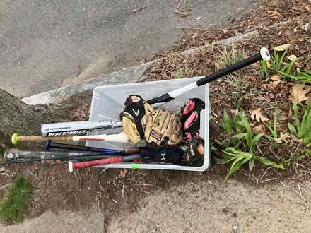 Photo of free Baseball bats & small gloves (Arlington/West Medford line) #1