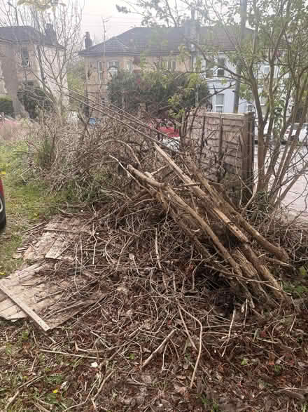 Photo of free Kindling dry sticks! (St Andrew's BS6) #2