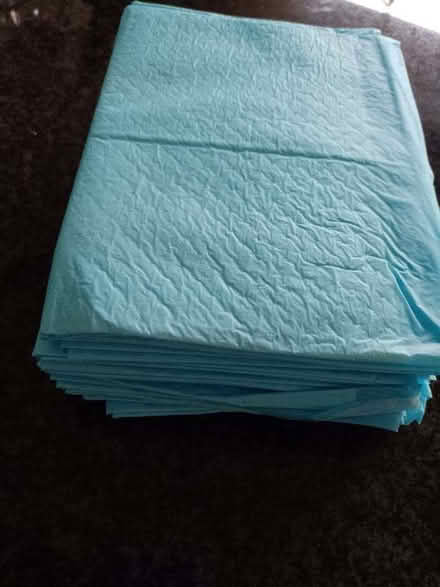 Photo of free Puppy Pads (Oxford OX3) #1