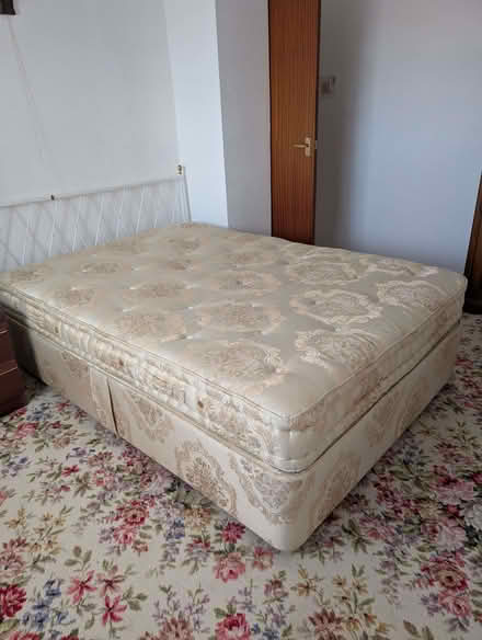 Photo of free Double Bed without Mattress (Shephall SG2) #1