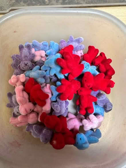 Photo of free Mini bears (Ringwould CT14) #2