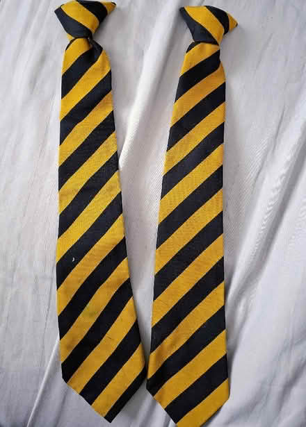 Photo of free Two school ties (Dinas Powys CF64) #1