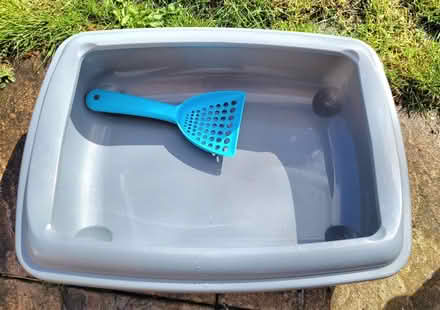 Photo of free Cat litter tray and scoop (Thatcham RG19) #1