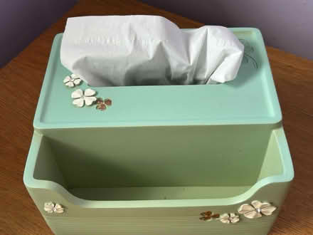Photo of free Decorative green tissue/storage box (Barkham RG41) #2