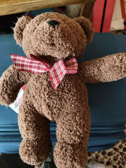 Photo of free Soft brown teddy (CV32 lillington) #1