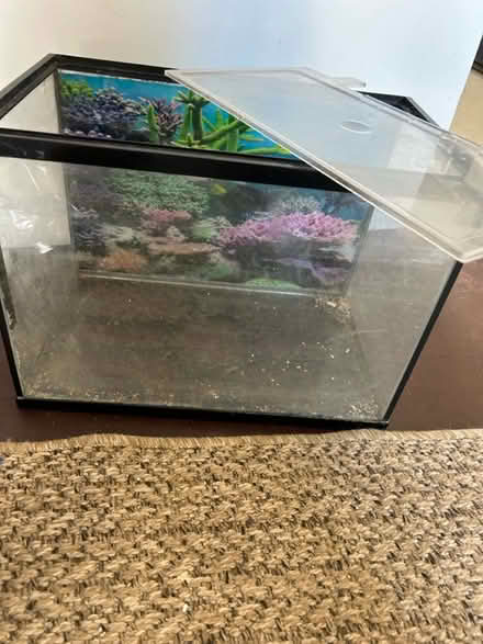 Photo of free 22 litre fish tank (SW9) #1
