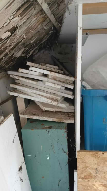 Photo of free Polystyrene insulation sheets (East Sheen, SW14) #2