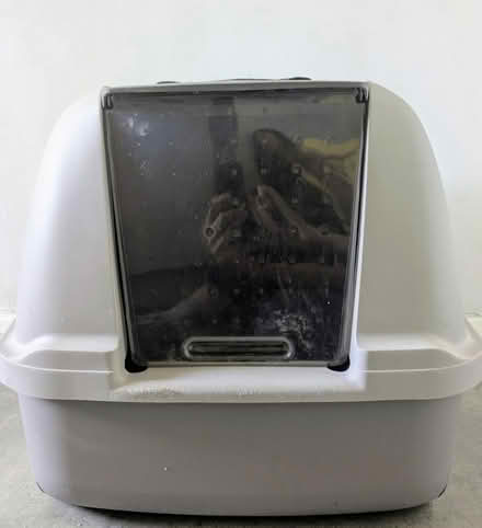 Photo of free Large covered cat litter tray (DA7 Bexleyheath) #1