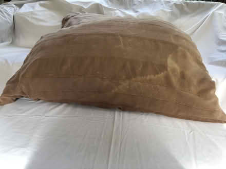Photo of free Large Floor Cushion (Harrogate HG2) #1