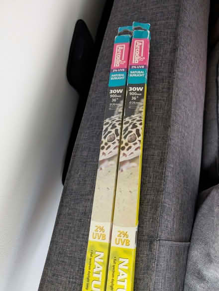 Photo of free Arcadia 36 inch 2% UV bulbs (The Highlands TN39) #2