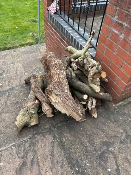 Photo of free logs, wood from garden tree (Walsall WS5) #1
