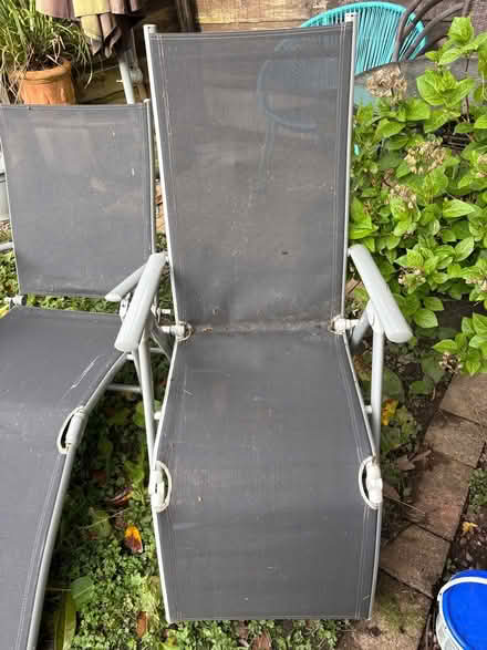 Photo of free Sun loungers (M23 Northern Moor) #2
