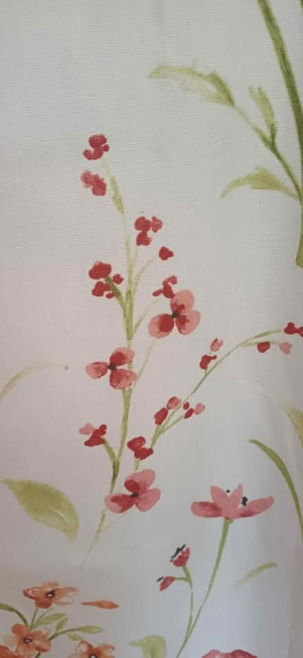 Photo of free Pair of curtains (Frimley) #4