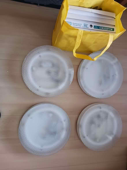 Photo of free Ceiling lights (Kempshott RG22) #1
