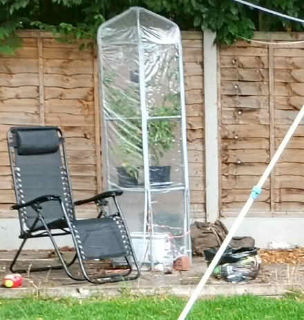 Photo of free Tall plastic greenhouse (Holmcroft ST16) #1