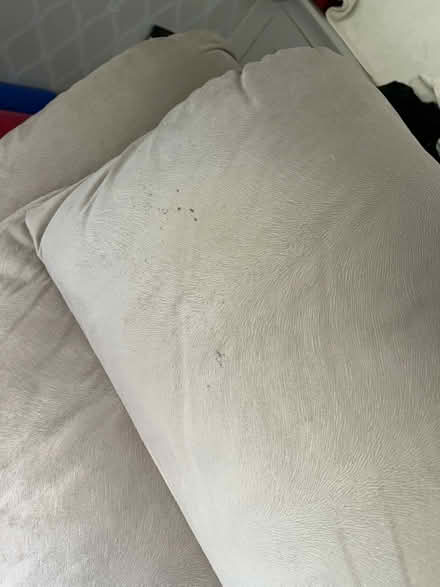 Photo of free Lightweight recliner (Woking GU22) #3